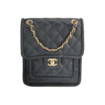 Chanel Quilted Lambskin CC Backpack (Шанель) — миниатюра 1