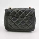 Chanel Classic Flap (Шанель) — фото 5