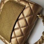 Chanel Flap Bag (Шанель) — фото 19