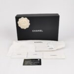 Chanel WOC (Шанель) — фото 10