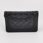 Chanel WOC (Шанель) — фото 5