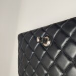 Chanel Classic Flap (Шанель) — фото 14