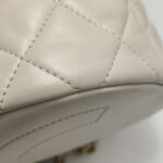 Chanel Quilted Lambskin CC Crossbody (Шанель) — фото 16