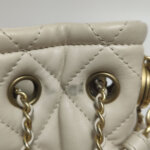 Chanel Quilted Lambskin CC Crossbody (Шанель) — фото 21