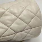 Chanel Quilted Lambskin CC Crossbody (Шанель) — фото 24