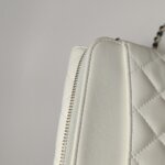 Chanel Quilted Lambskin CC Crossbody (Шанель) — фото 22