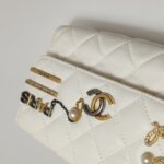 Chanel Quilted Lambskin CC Crossbody (Шанель) — фото 23