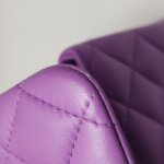 Chanel Classic Flap (Шанель) — фото 19