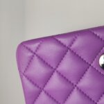Chanel Classic Flap (Шанель) — фото 25