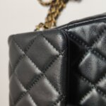 Chanel Classic Flap (Шанель) — фото 16