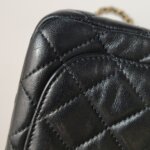 Chanel Classic Flap (Шанель) — фото 20