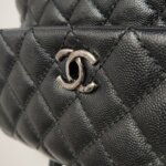 Chanel Coco Handle (Шанель) — фото 13