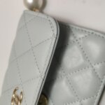 Chanel Quilted Calfskin CC Crossbody (Шанель) — фото 14