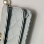 Chanel Quilted Calfskin CC Crossbody (Шанель) — фото 15