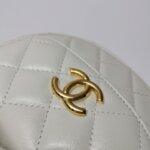 Chanel Quilted Calfskin CC Crossbody (Шанель) — фото 15