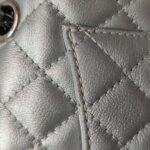 Chanel 2.55 Flag Bag (Шанель) — фото 14