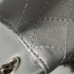 Chanel 2.55 Flag Bag (Шанель) — фото 19