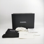 Chanel 19Bag (Шанель) — фото 9