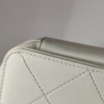 Chanel Quilted Calfskin CC Shoulder Bag (Шанель) — фото 18