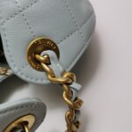 Chanel 25 Bag (Шанель) — фото 11