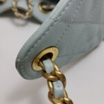 Chanel 25 Bag (Шанель) — фото 12