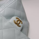 Chanel 25 Bag (Шанель) — фото 13
