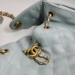 Chanel 25 Bag (Шанель) — фото 15
