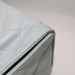 Chanel 25 Bag (Шанель) — фото 16