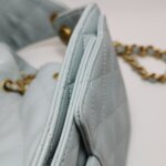 Chanel 25 Bag (Шанель) — фото 22