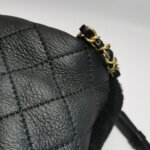 Chanel Quilted Lambskin CC Backpack (Шанель) — фото 25