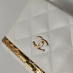 Chanel Quilted Lambskin CC Crossbody (Шанель) — фото 20