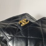 Chanel 25 Bag (Шанель) — фото 14