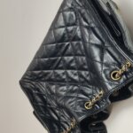Chanel 25 Bag (Шанель) — фото 18