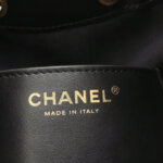Chanel 25 Bag (Шанель) — фото 8
