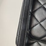 Chanel Classic Flap (Шанель) — фото 13