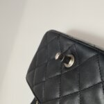 Chanel Classic Flap (Шанель) — фото 14
