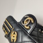 Chanel Classic Flap (Шанель) — фото 15