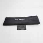 Chanel Leboy (Шанель) — фото 9