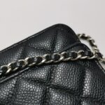 Chanel Quilted Calfskin CC Crossbody (Шанель) — фото 14