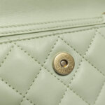 Chanel Quilted Lambskin CC Shoulder Bag (Шанель) — фото 16
