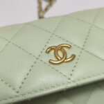 Chanel Quilted Lambskin CC Shoulder Bag (Шанель) — фото 17