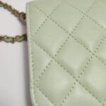 Chanel Quilted Lambskin CC Shoulder Bag (Шанель) — фото 24