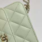 Chanel Quilted Lambskin CC Shoulder Bag (Шанель) — фото 26