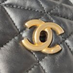 Chanel Flap Bag (Шанель) — фото 14