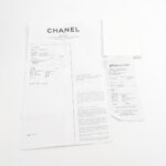 Chanel Quilted Calfskin CC Backpack (Шанель) — фото 10