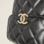 Chanel Quilted Calfskin CC Crossbody (Шанель) — фото 12