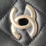 Chanel Flap Bag (Шанель) — фото 14