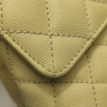 Chanel Coco Handle (Шанель) — фото 21
