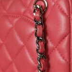 Chanel Quilted Lambskin CC Backpack (Шанель) — фото 12