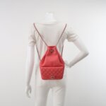 Chanel Quilted Lambskin CC Backpack (Шанель) — фото 2